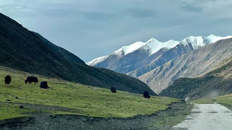 Trail image · highland crossing