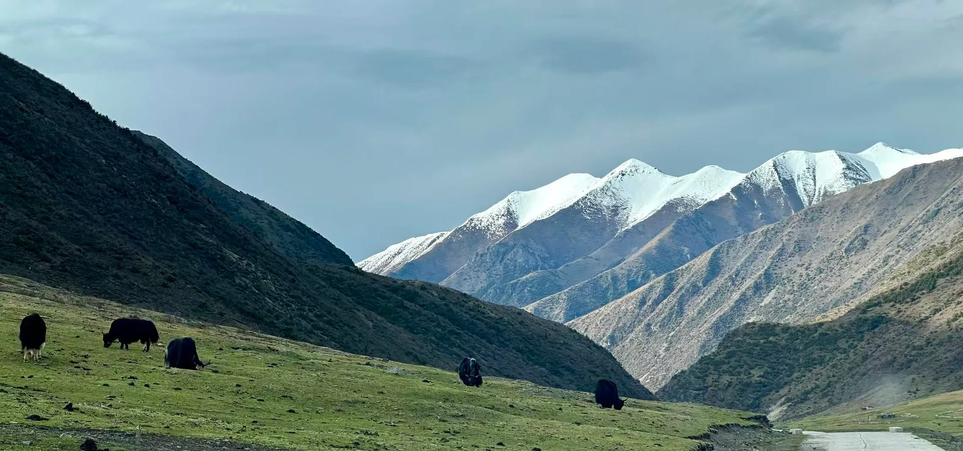 Manigango at sunrise — 4,200m grasslands with sacred peaks