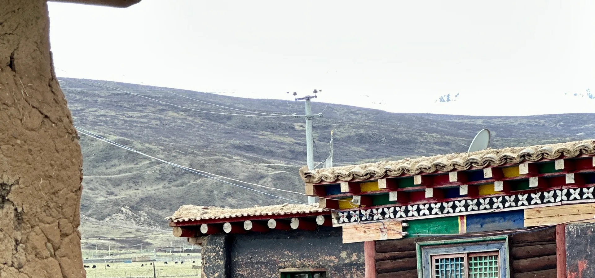 Herders with yaks on the high plateau